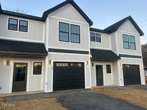 705 North Main Avenue Erwin TN 37650