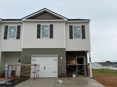 Townhouse For Sale - 141 Holt Way<br/> Blountville, TN 37617