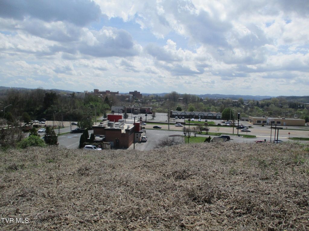 Photo of 650 Teasel Drive, Kingsport, TN 37660 (MLS # 9993734)