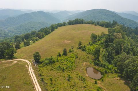 Vacant Land For Sale - LOTS 18-20 Big Springs Road<br/> Eidson, TN 37731