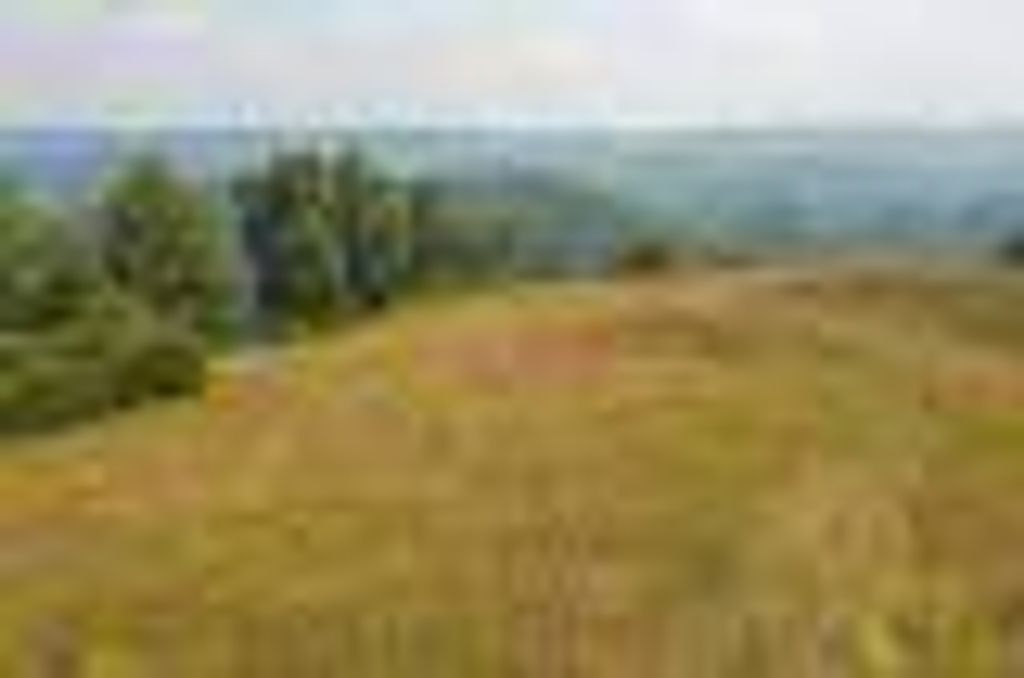 Photo of 1820 Big Springs Road, Eidson, TN 37731 (MLS # 9983558)