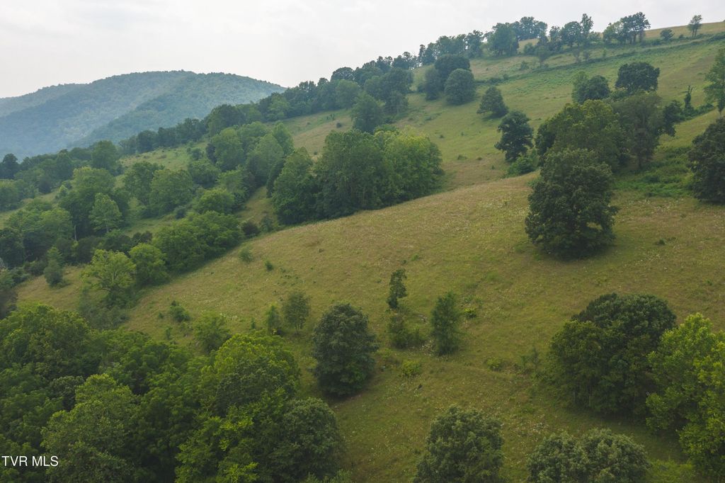 Photo of 1820 Big Springs Road, Eidson, TN 37731 (MLS # 9983558)