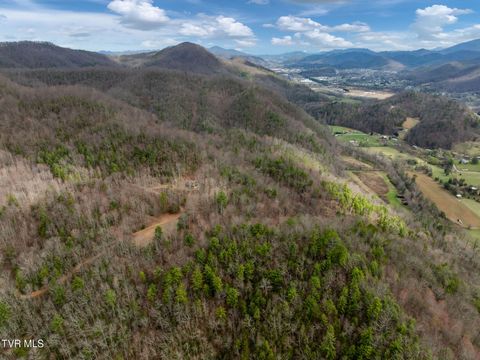 Vacant Land For Sale - LOT 3 Ray Kegley Road<br/> Unicoi County, Erwin, TN 37650