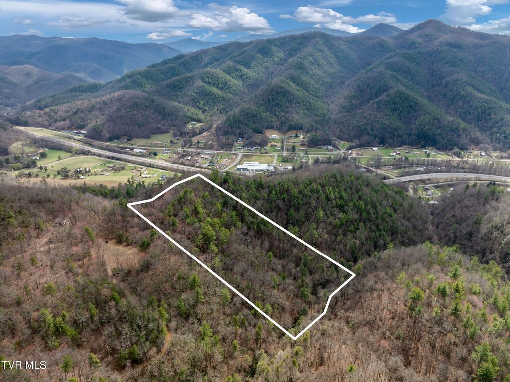 Photo of 3 Ray Kegley Road, Erwin, TN 37650 (MLS # 9992295)