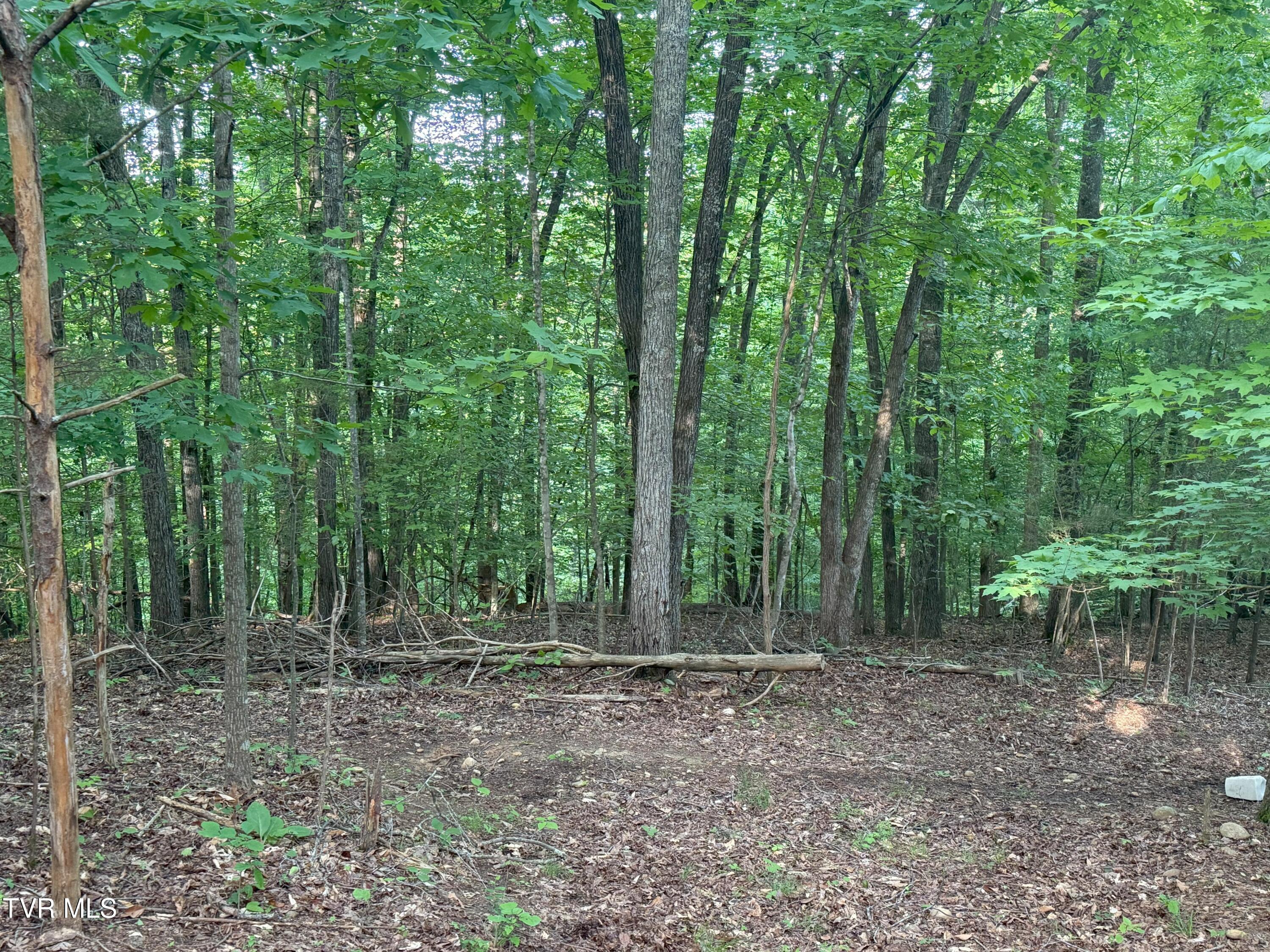 1320 Brady Road, Newport, Tennessee image 48