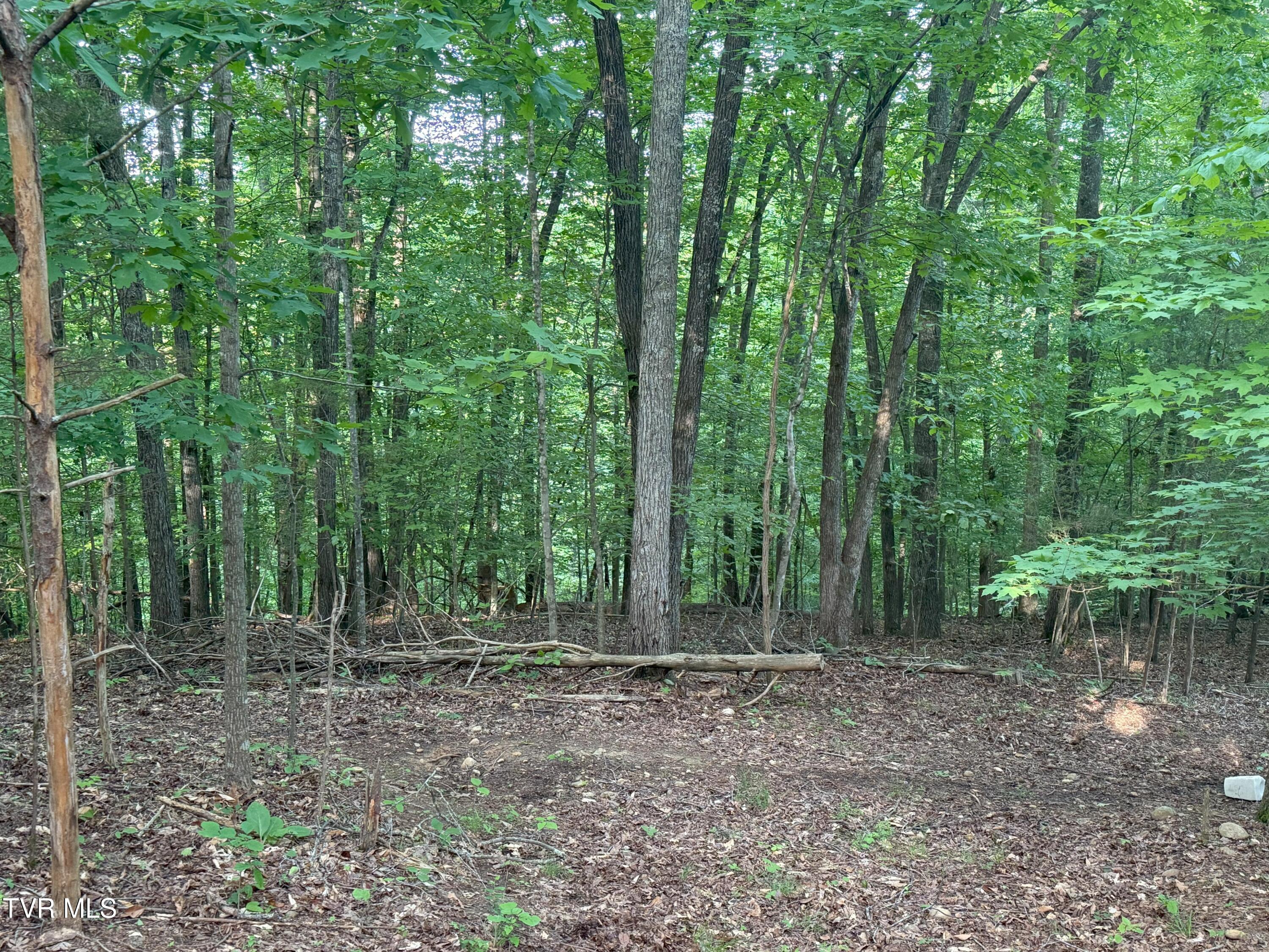 1320 Brady Road, Newport, Tennessee image 38