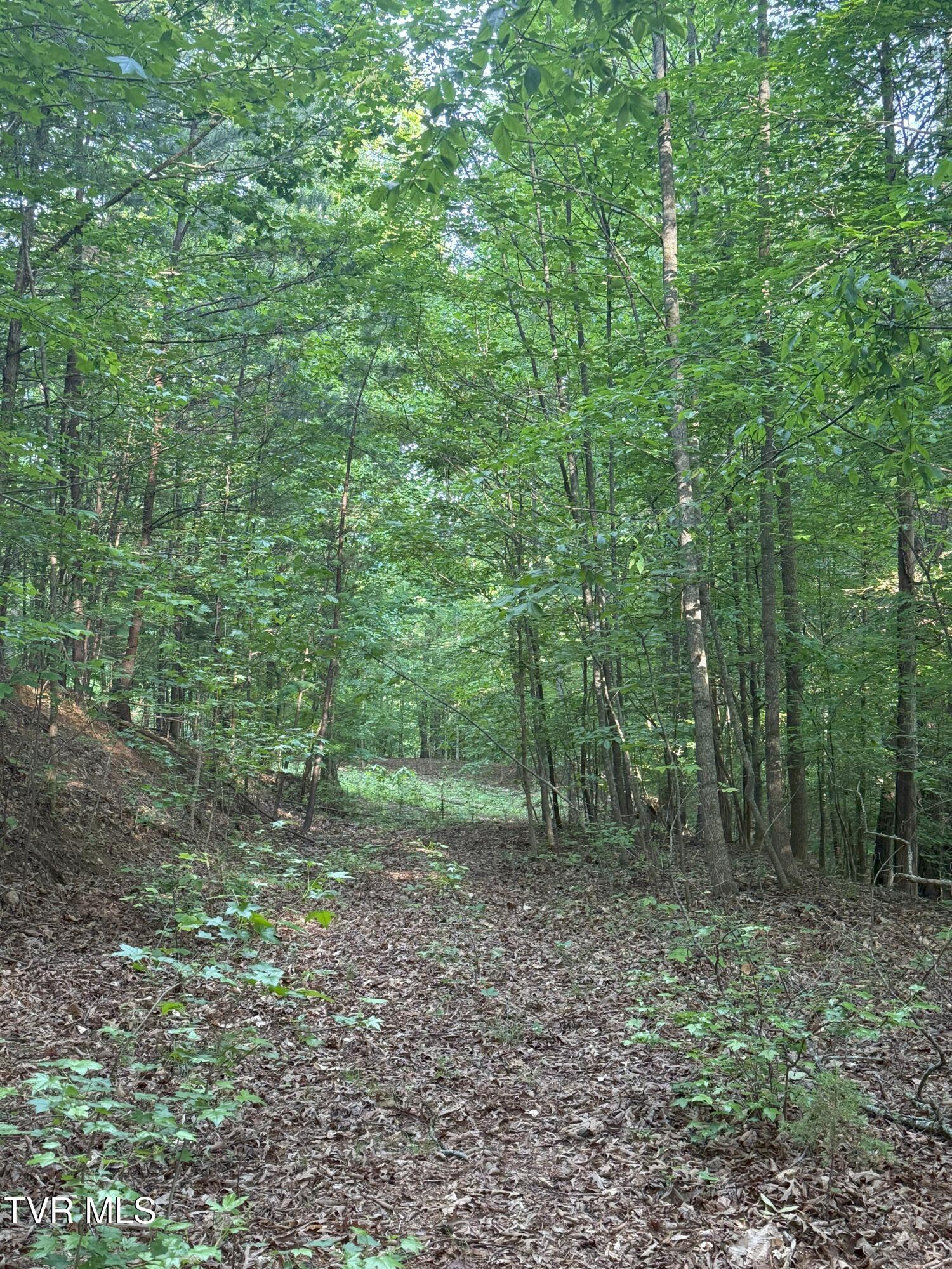1320 Brady Road, Newport, Tennessee image 46