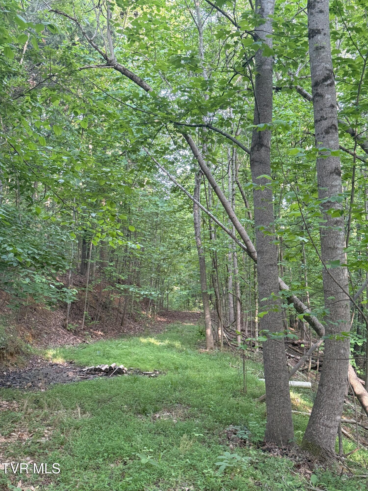 1320 Brady Road, Newport, Tennessee image 47