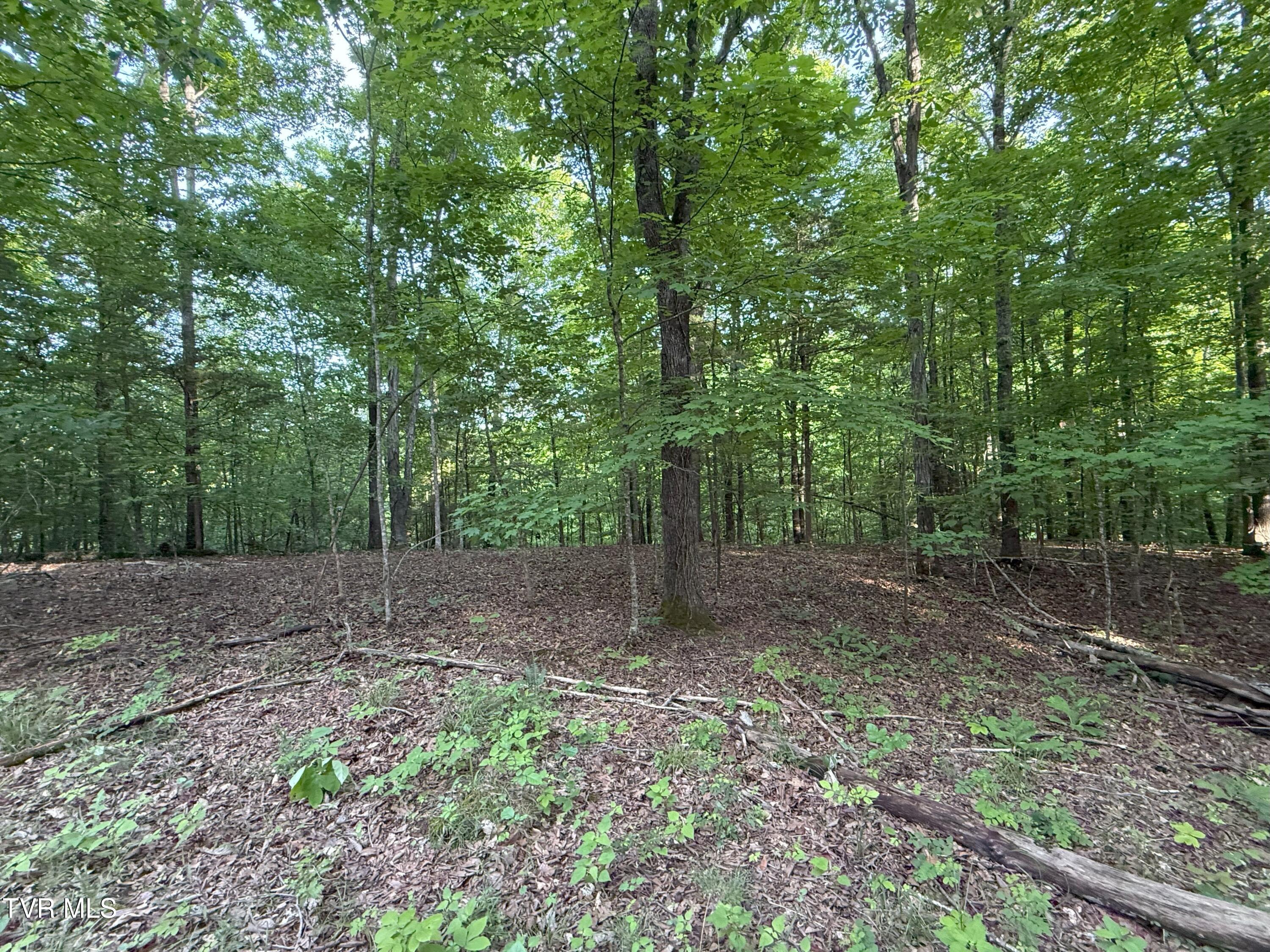 1320 Brady Road, Newport, Tennessee image 42