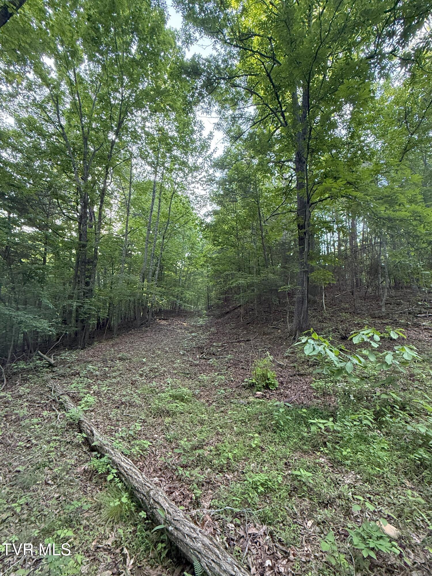 1320 Brady Road, Newport, Tennessee image 43