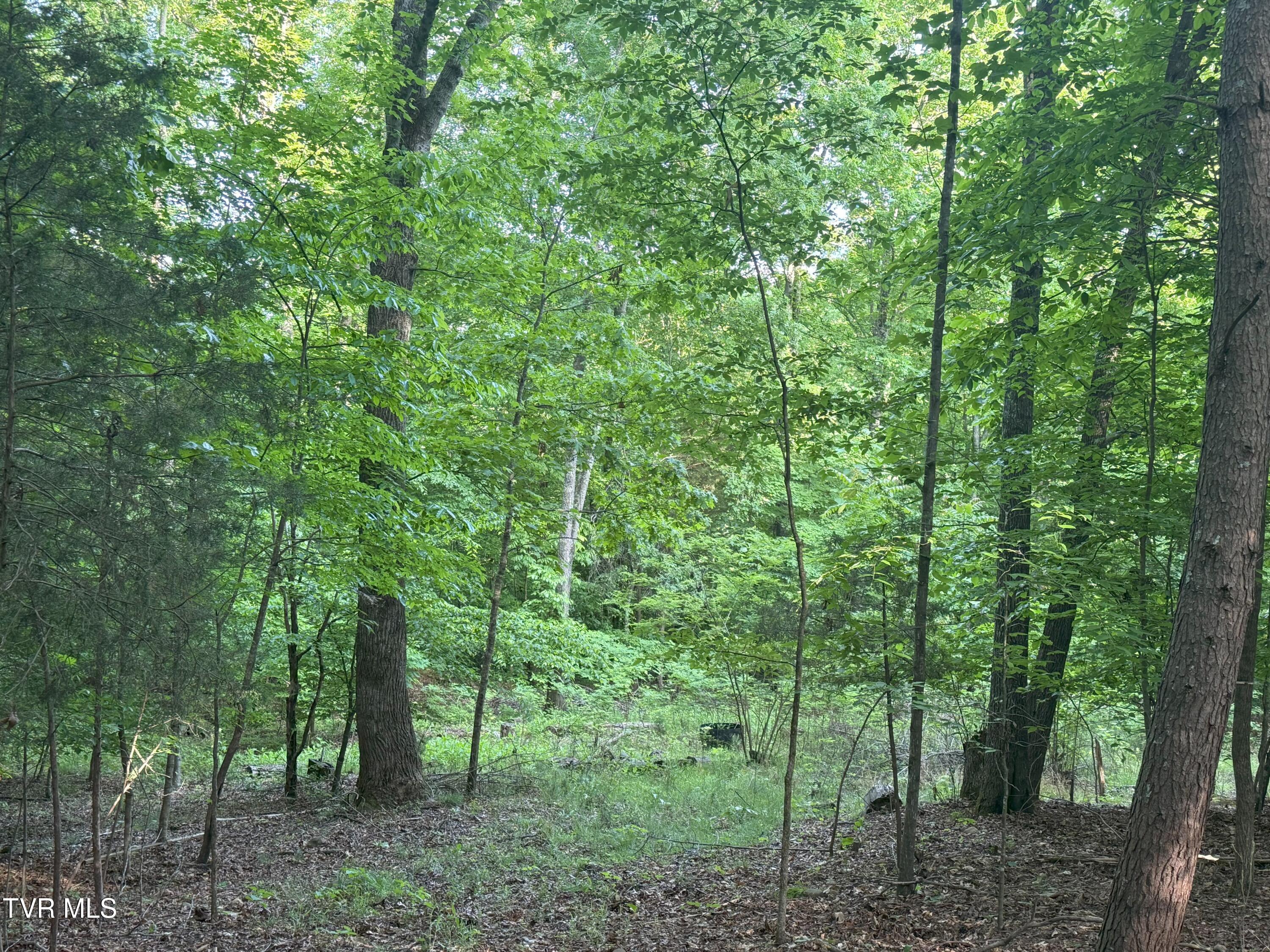 1320 Brady Road, Newport, Tennessee image 39