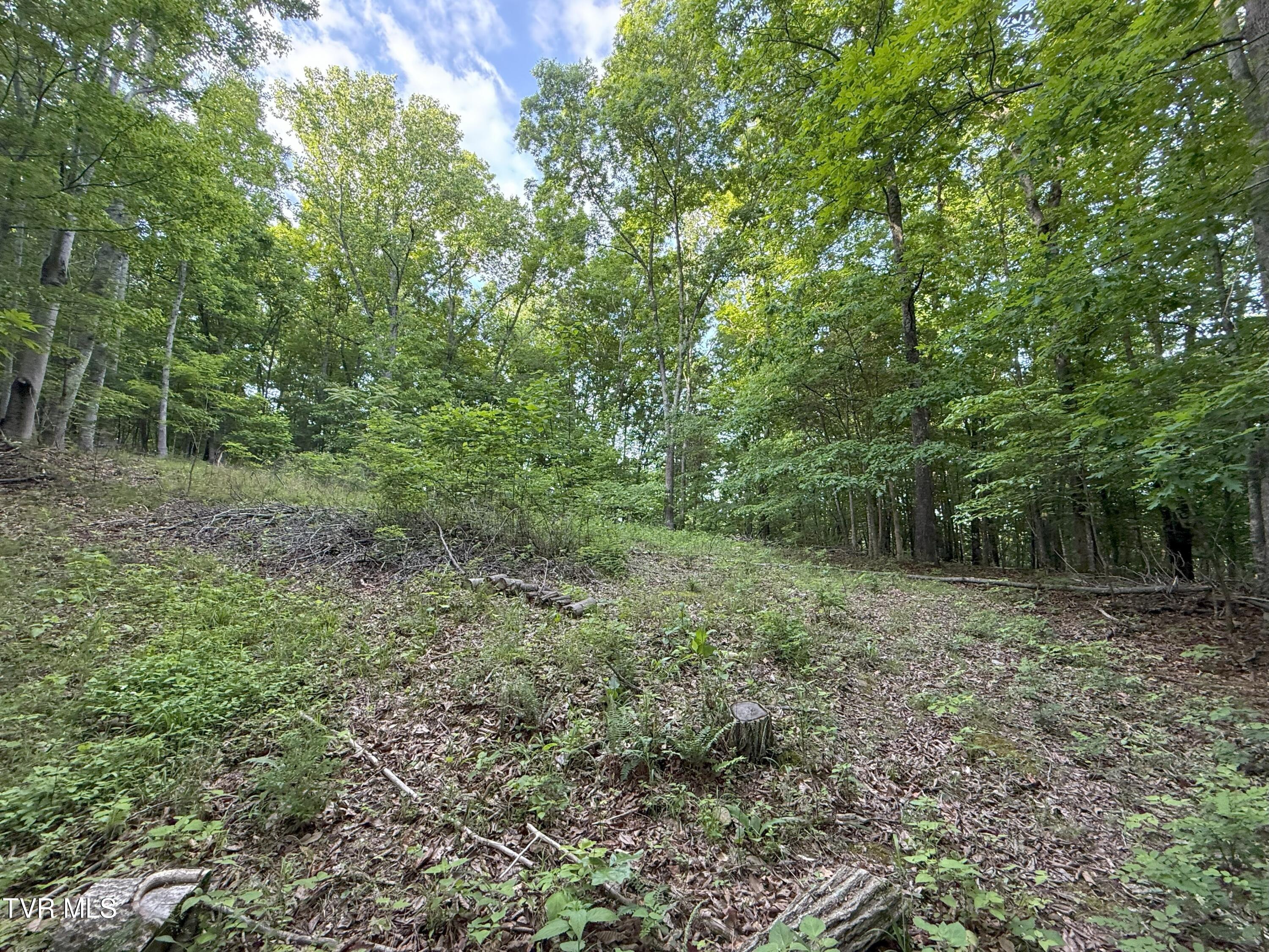 1320 Brady Road, Newport, Tennessee image 41