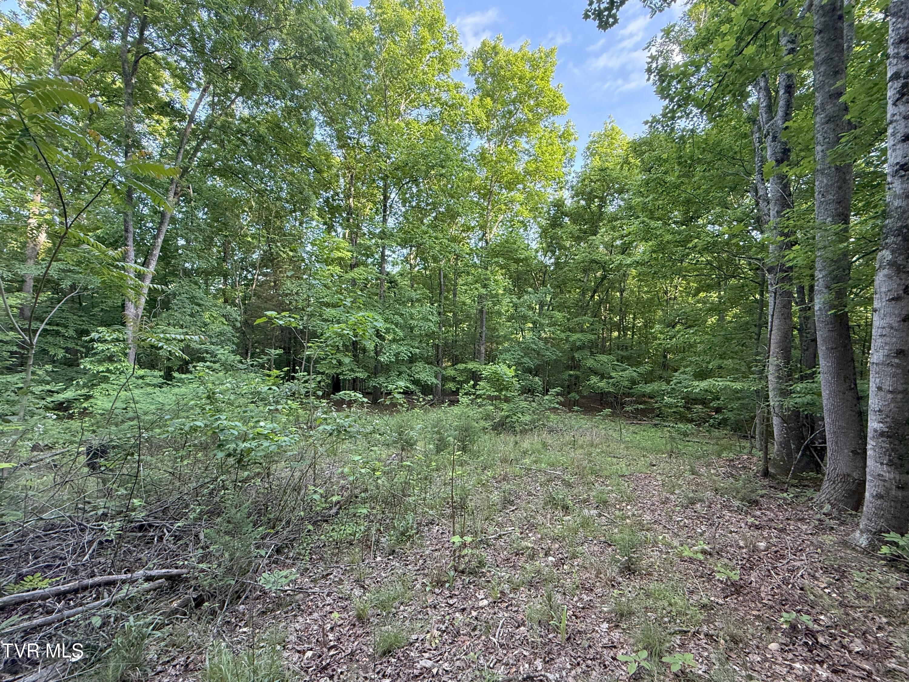 1320 Brady Road, Newport, Tennessee image 40