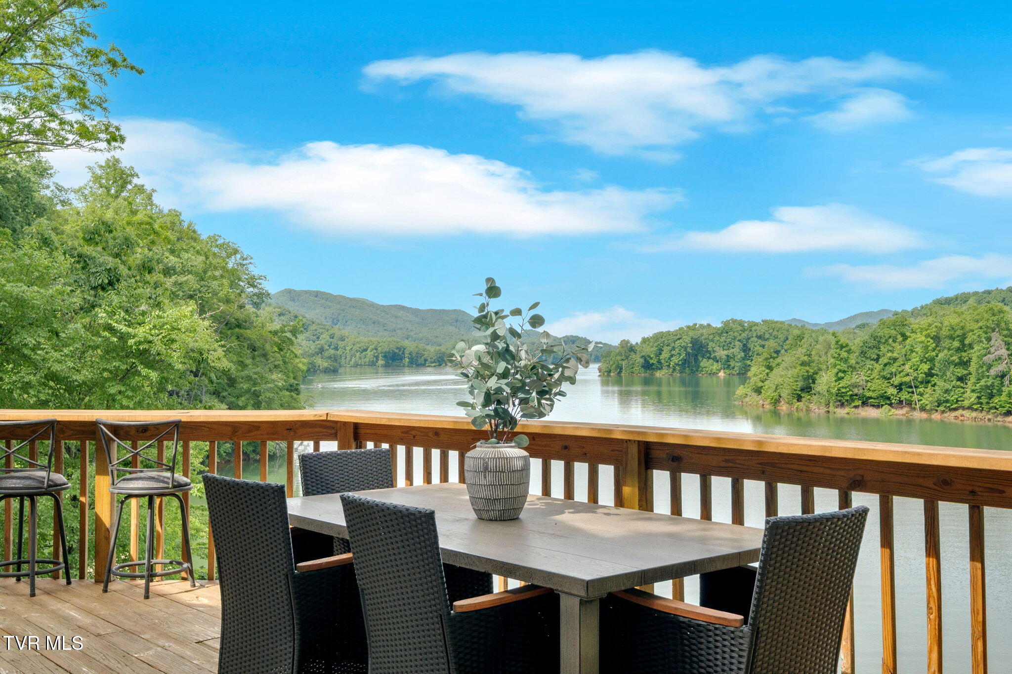 310 Cove Ridge Lane, Butler, Tennessee image 37