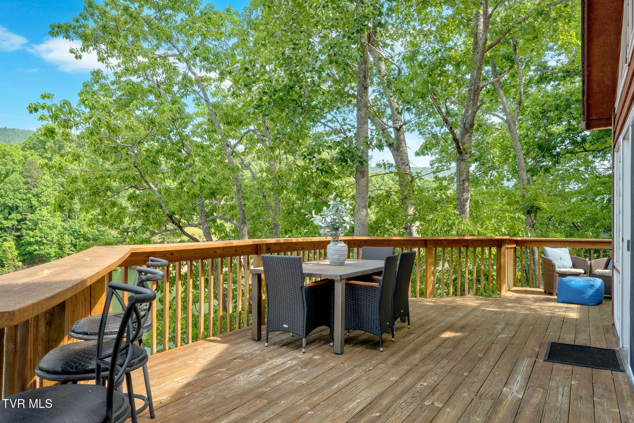 310 Cove Ridge Lane, Butler, Tennessee image 39