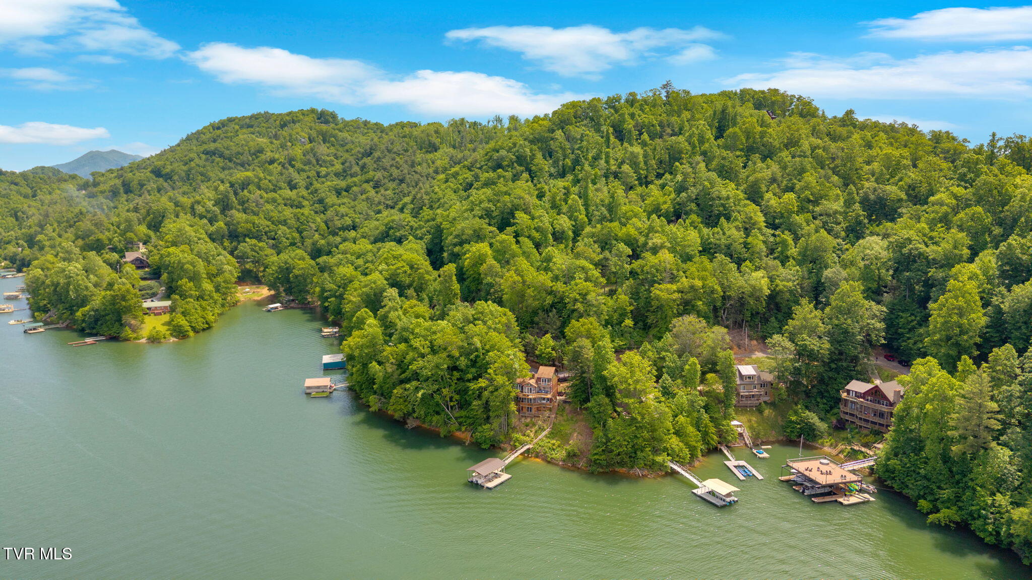 310 Cove Ridge Lane, Butler, Tennessee image 11
