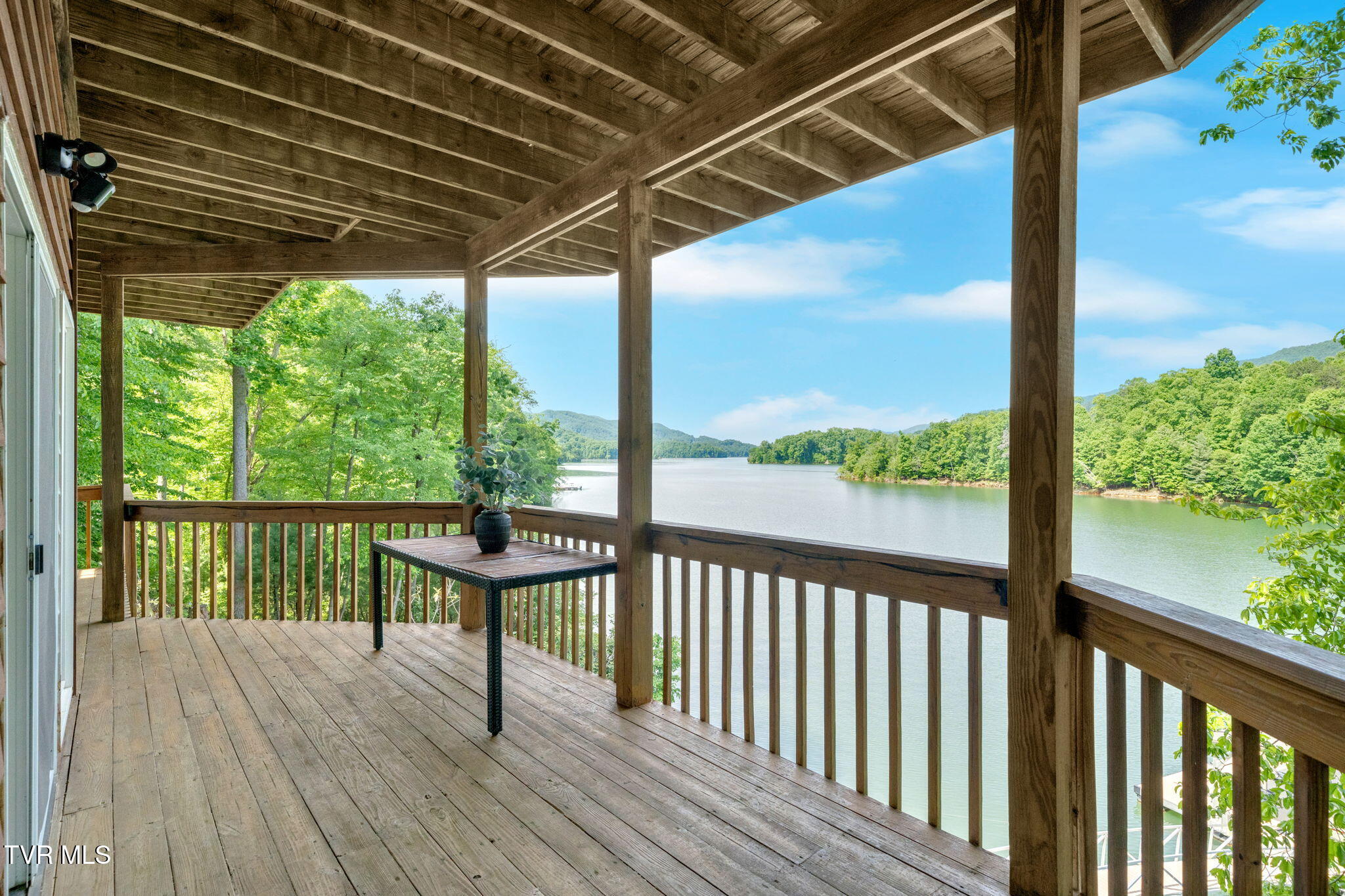 310 Cove Ridge Lane, Butler, Tennessee image 21