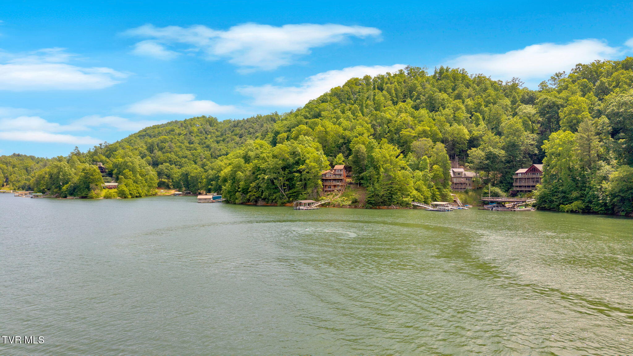 310 Cove Ridge Lane, Butler, Tennessee image 13