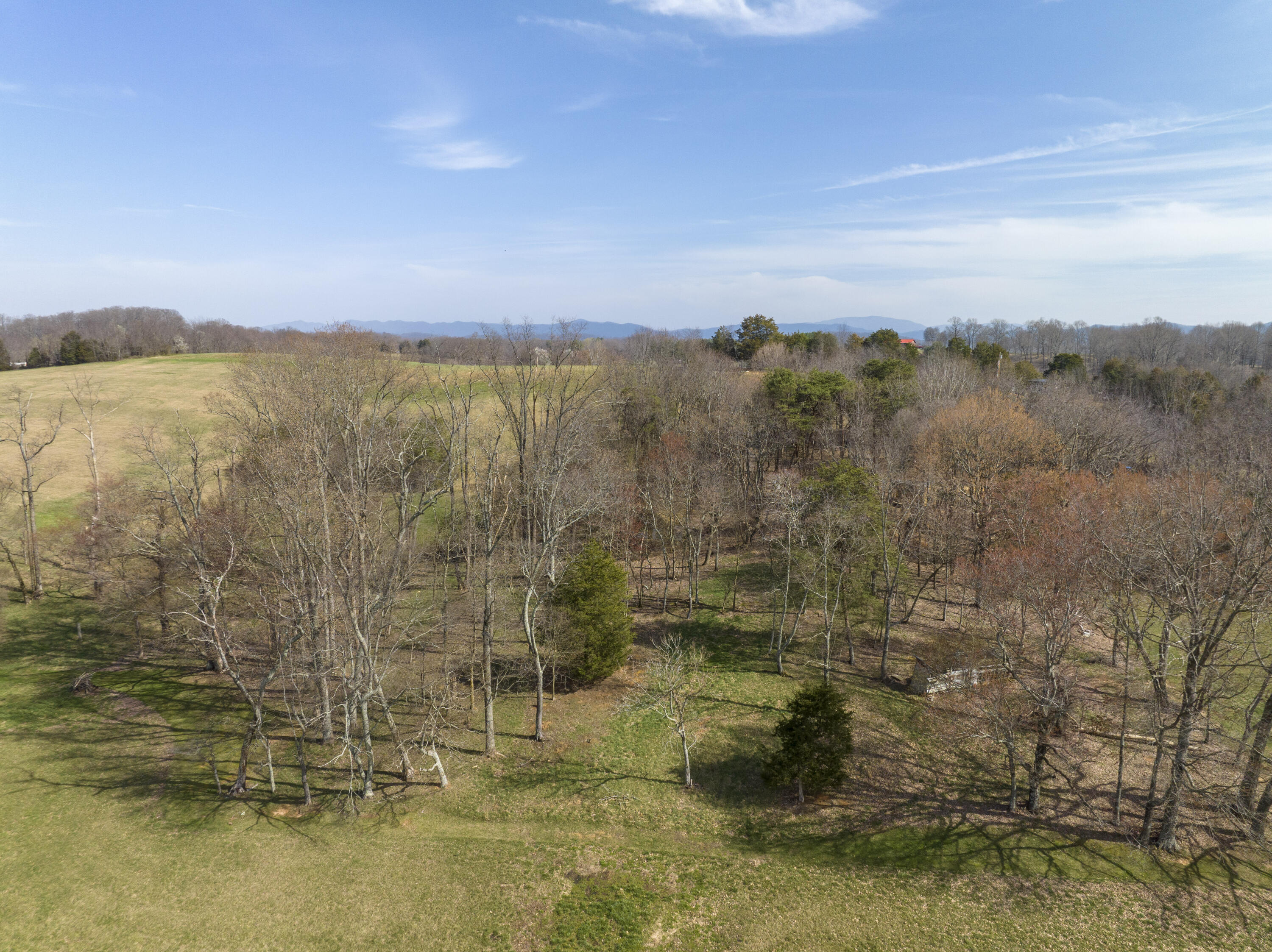 595 Newt Good Road, Limestone, Tennessee image 50