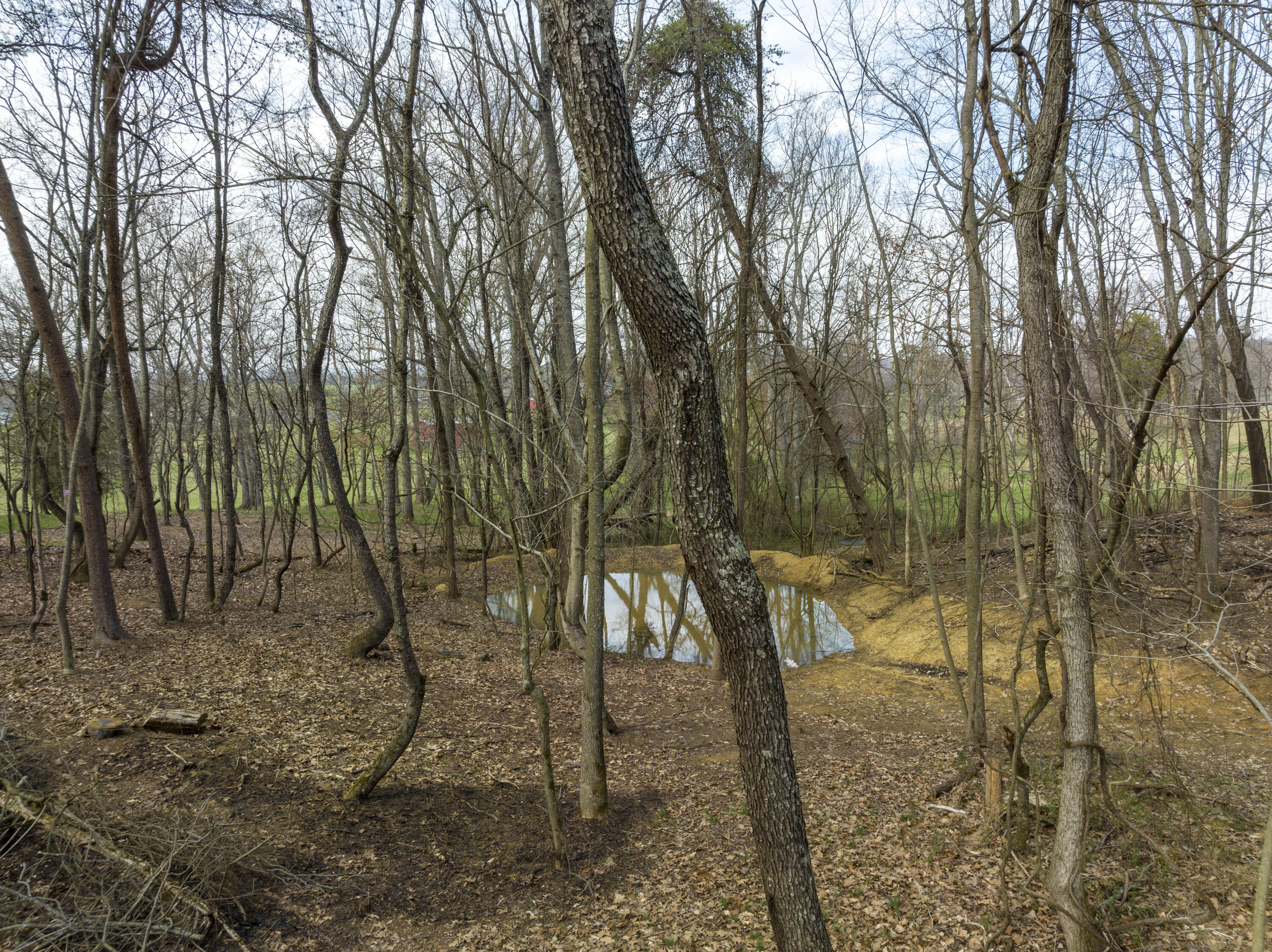 595 Newt Good Road, Limestone, Tennessee image 43