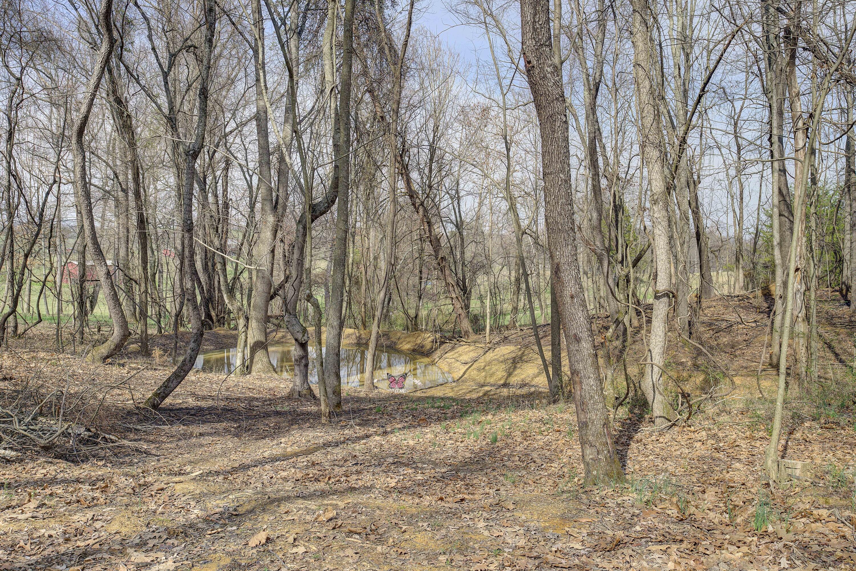 595 Newt Good Road, Limestone, Tennessee image 44