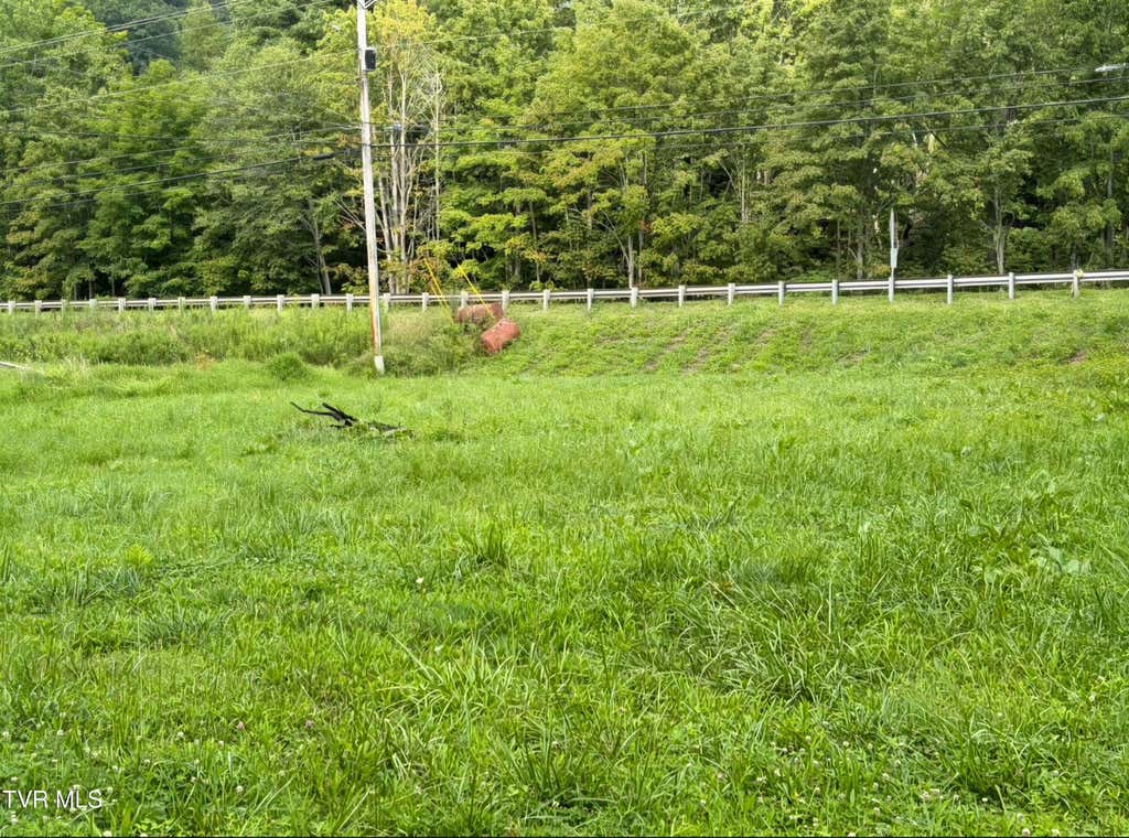 Photo of 8658 Highway 421, Trade, TN 37691 (MLS # 9999389)
