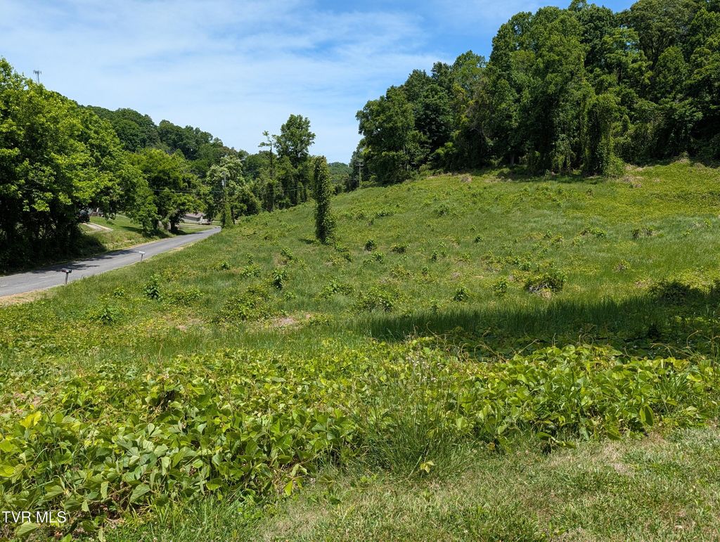 Photo of 187 Tuggle Hill Road #114 015.001, Rogersville, TN 37857 (MLS # 9995551)