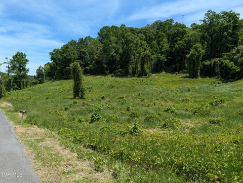 Photo of Tbd Tuggle Hill Road #114 015.001, Rogersville, TN 37857 (MLS # 9995551)