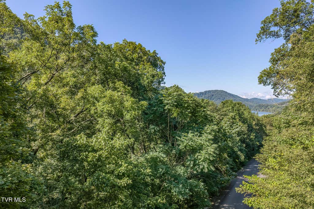 Photo of 4 Walnut Bend Drive, Whitesburg, TN 37891 (MLS # 9999748)