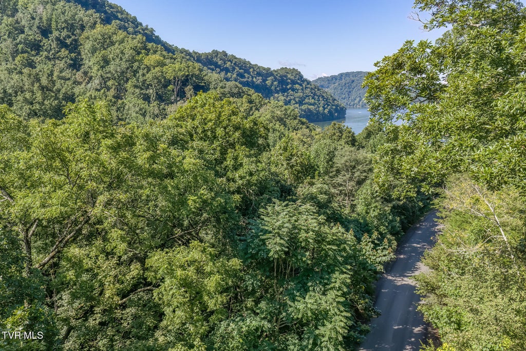 Photo of 4 Walnut Bend Drive, Whitesburg, TN 37891 (MLS # 9999748)