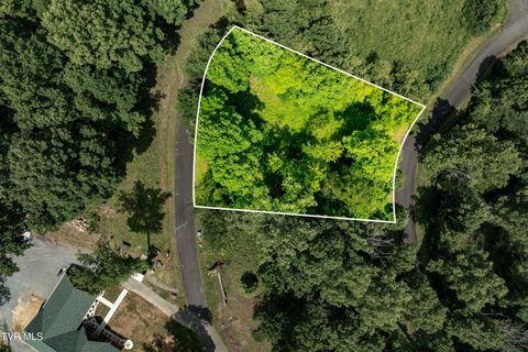 Vacant Land For Sale - LOT 17 Lake Ridge Road<br/> Johnson County, Butler, TN 37640
