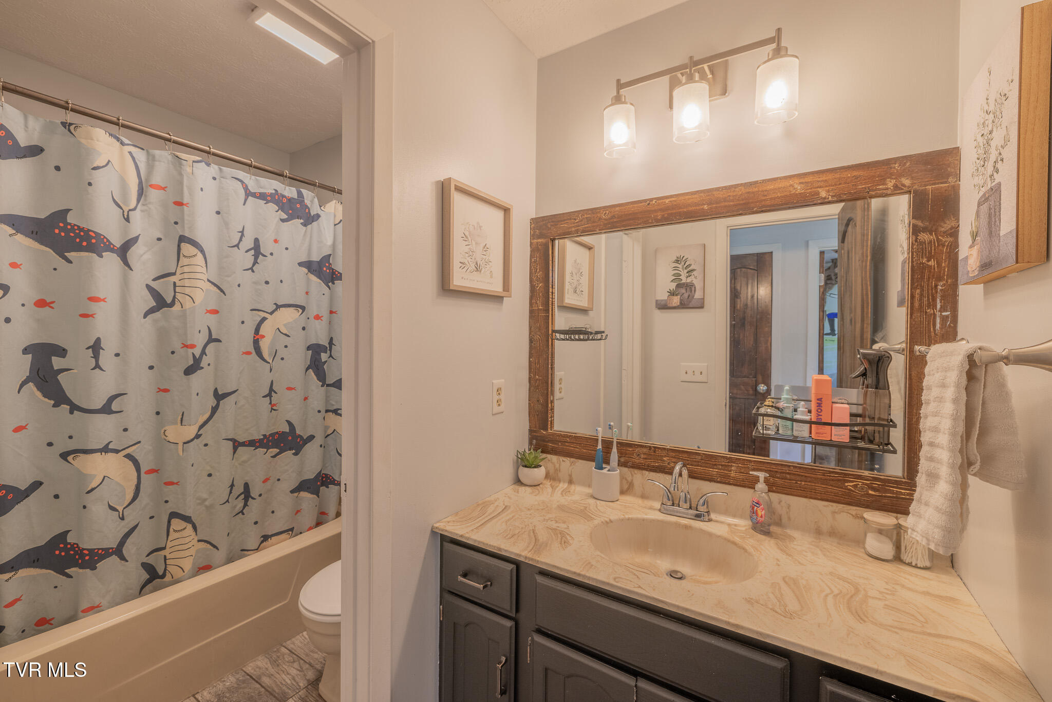 916 New Beason Well Road, Kingsport, Tennessee image 13