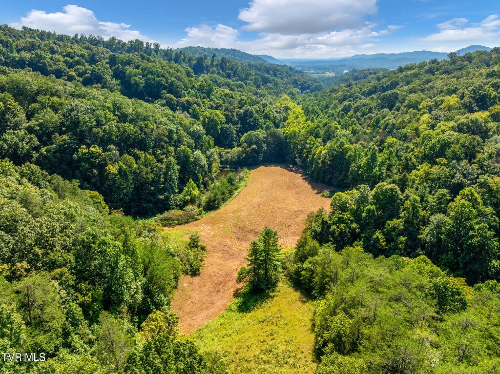 Photo of Tbd Bear Hollow, Greeneville, TN 37745 (MLS # 10000576)