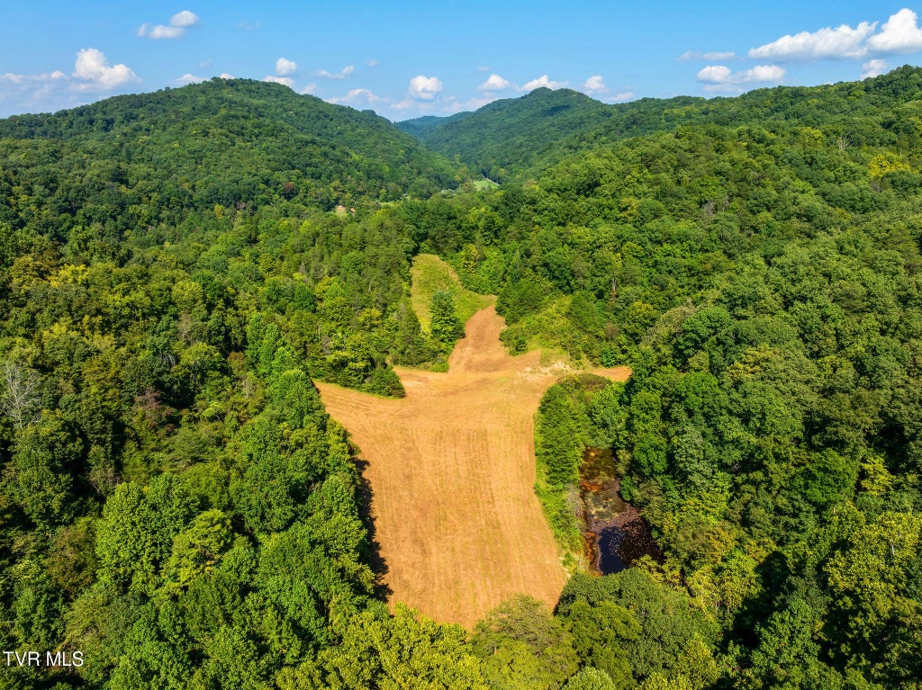 Photo of Tbd Bear Hollow, Greeneville, TN 37745 (MLS # 10000576)