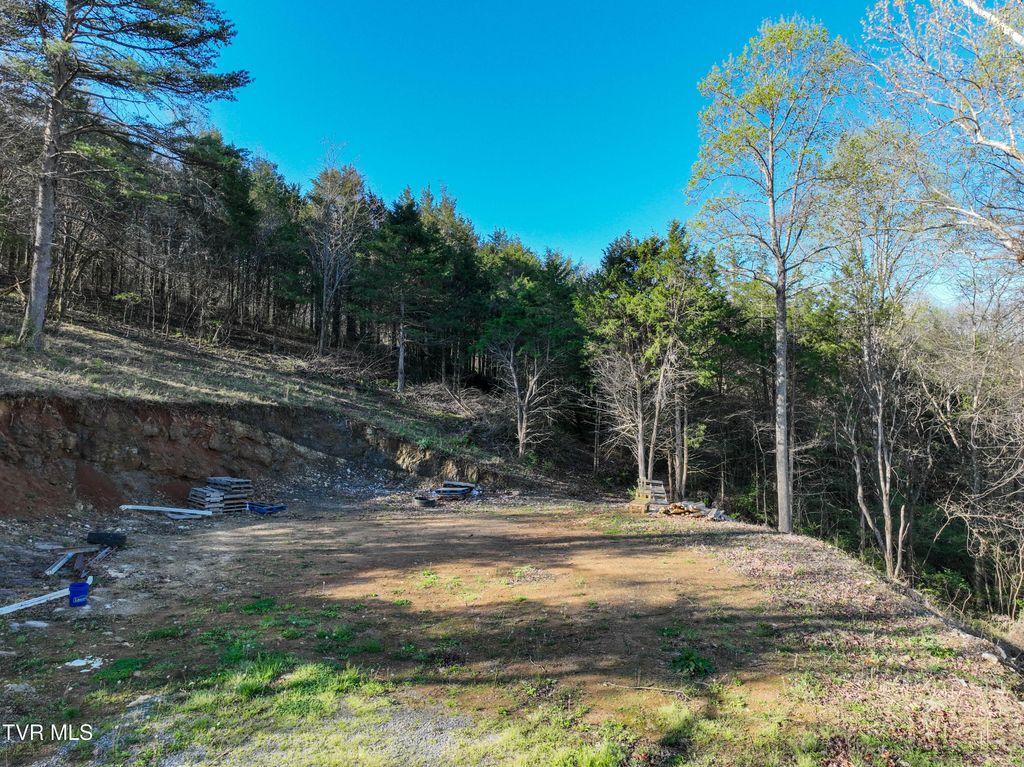 Photo of 2058 Siam Road, Elizabethton, TN 37643 (MLS # 9993646)