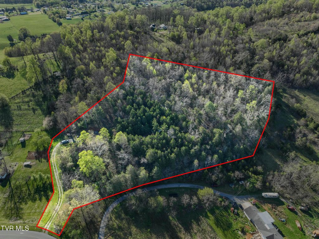Photo of 2058 Siam Road, Elizabethton, TN 37643 (MLS # 9993646)