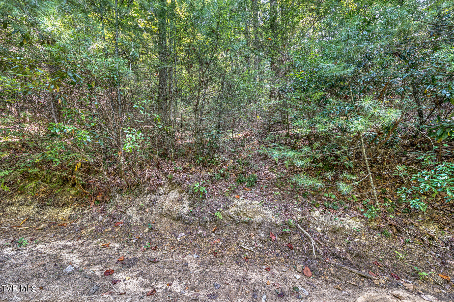 Waters Rd Road, Laurel Bloomery, Tennessee image 25