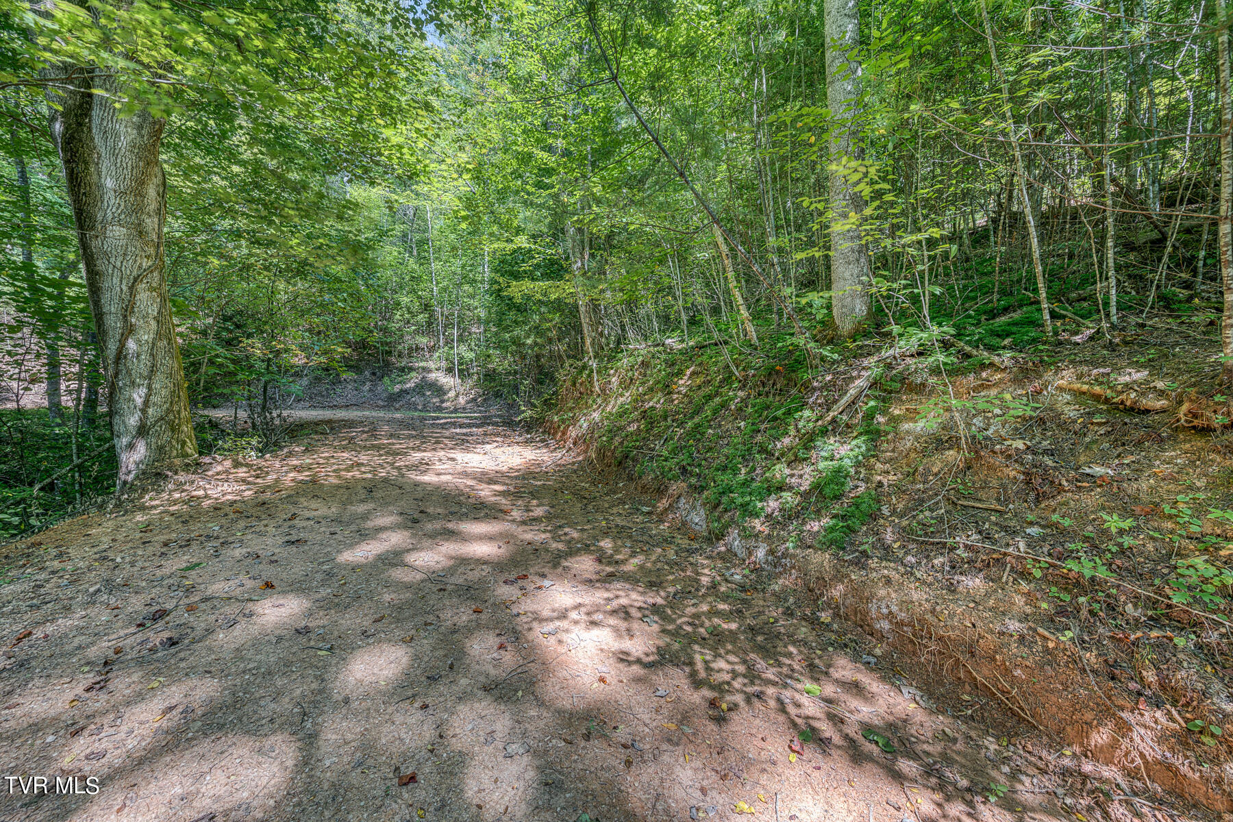 Waters Rd Road, Laurel Bloomery, Tennessee image 29