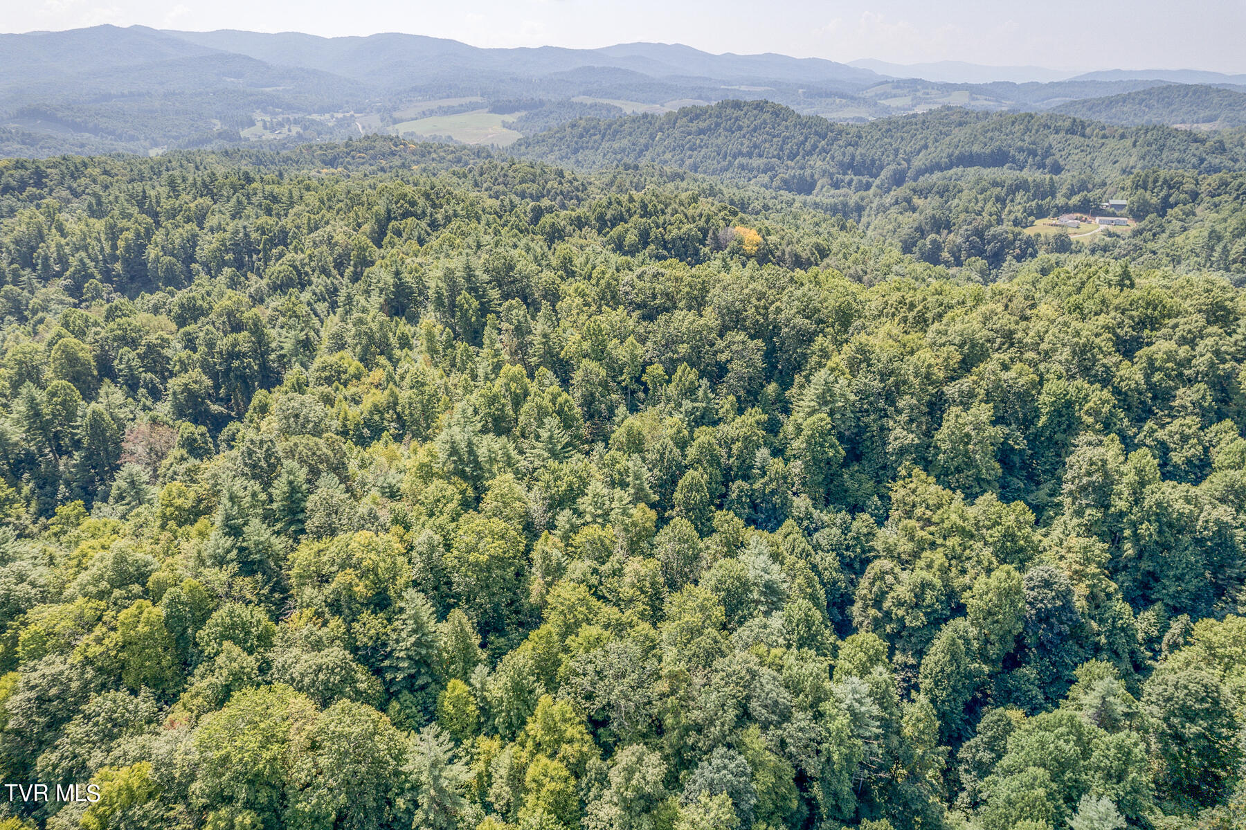 Waters Rd Road, Laurel Bloomery, Tennessee image 13