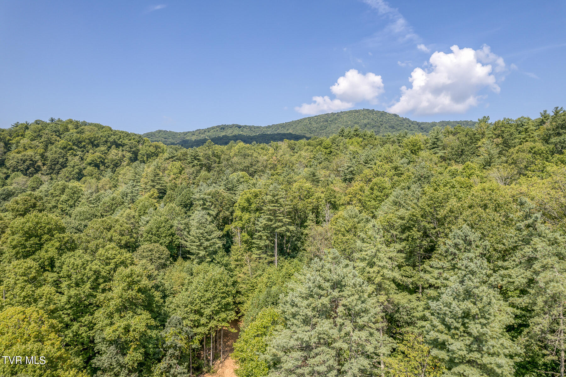 Waters Rd Road, Laurel Bloomery, Tennessee image 4