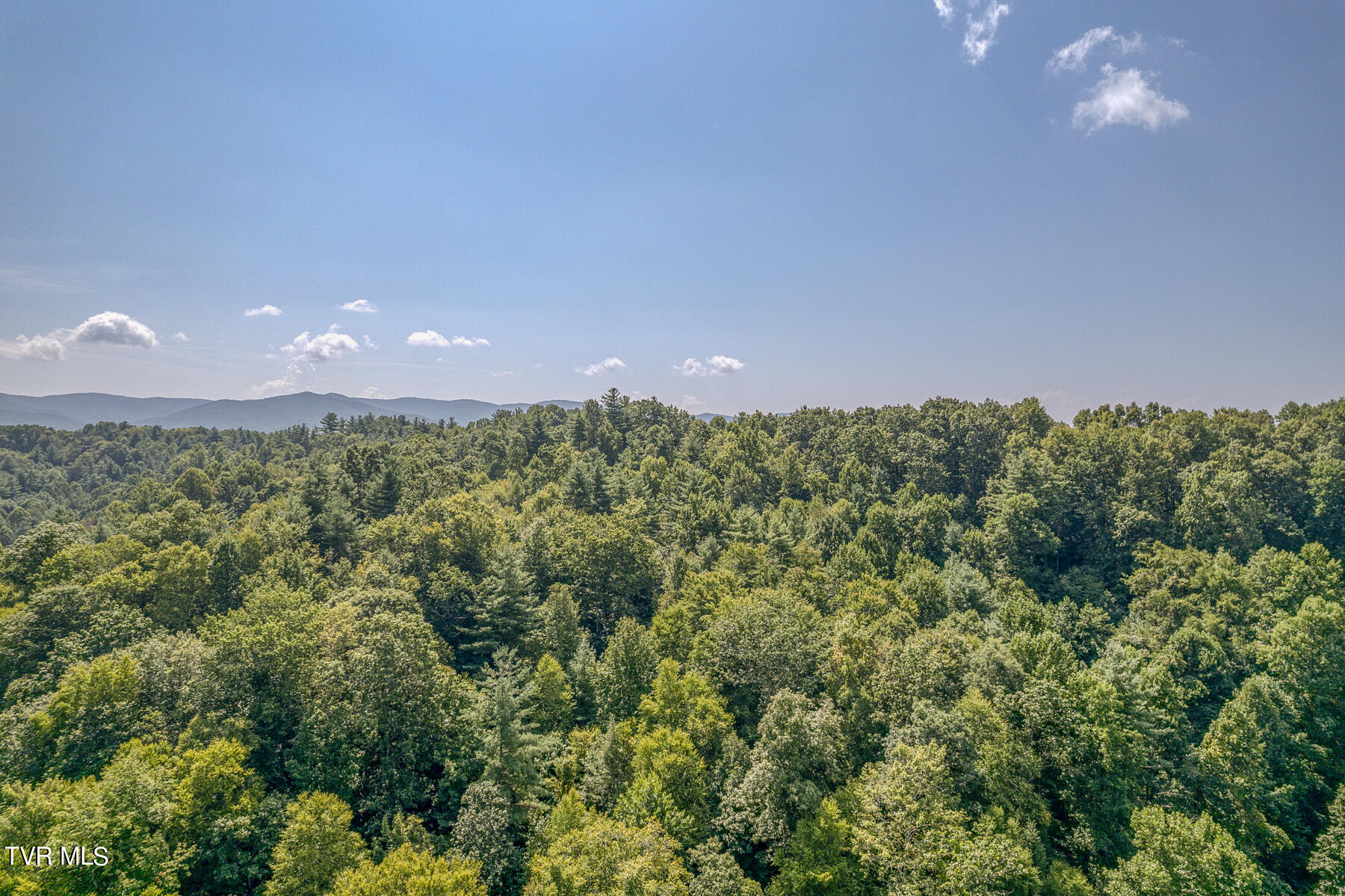 Waters Rd Road, Laurel Bloomery, Tennessee image 8