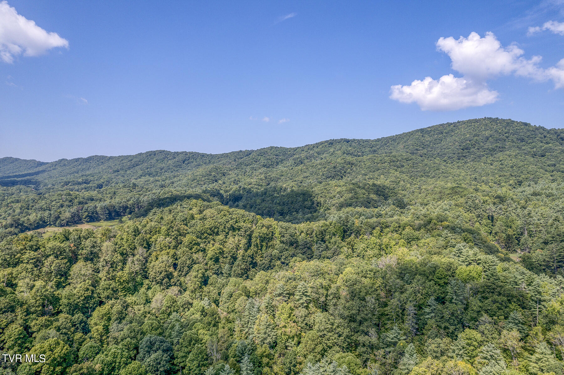 Waters Rd Road, Laurel Bloomery, Tennessee image 10