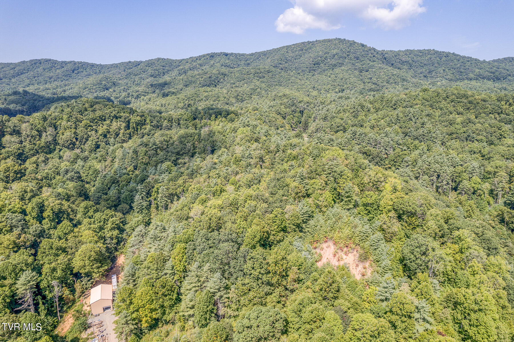 Waters Rd Road, Laurel Bloomery, Tennessee image 18