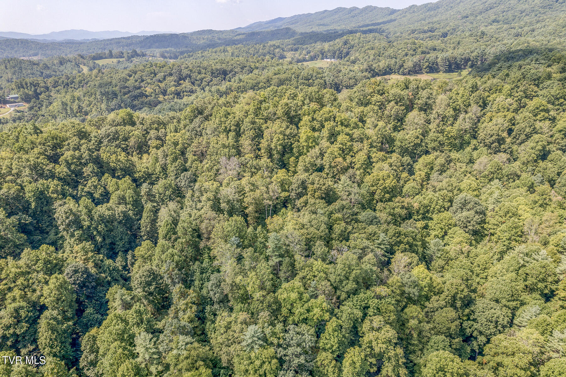Waters Rd Road, Laurel Bloomery, Tennessee image 12