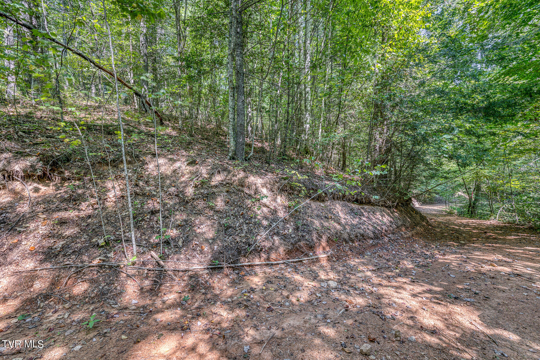 Waters Rd Road, Laurel Bloomery, Tennessee image 28