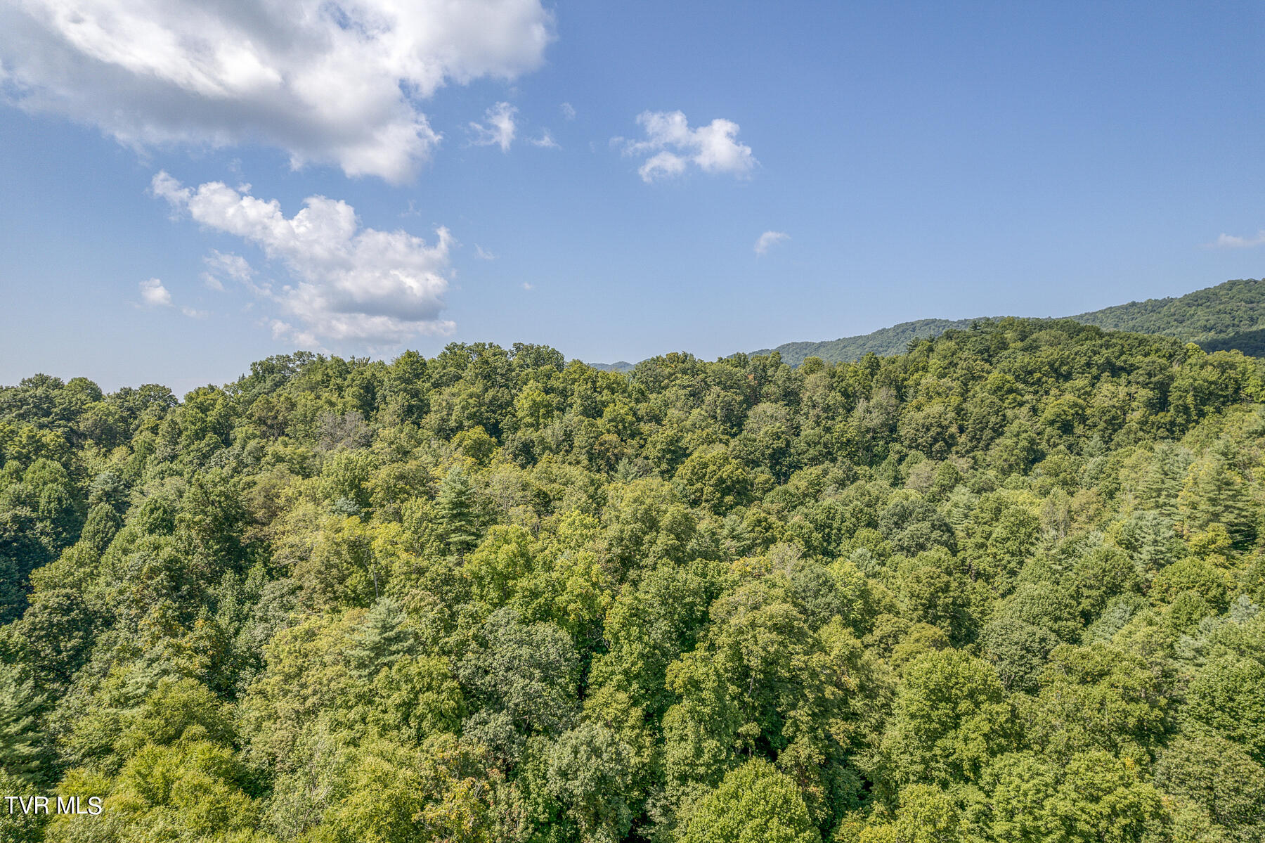 Waters Rd Road, Laurel Bloomery, Tennessee image 7