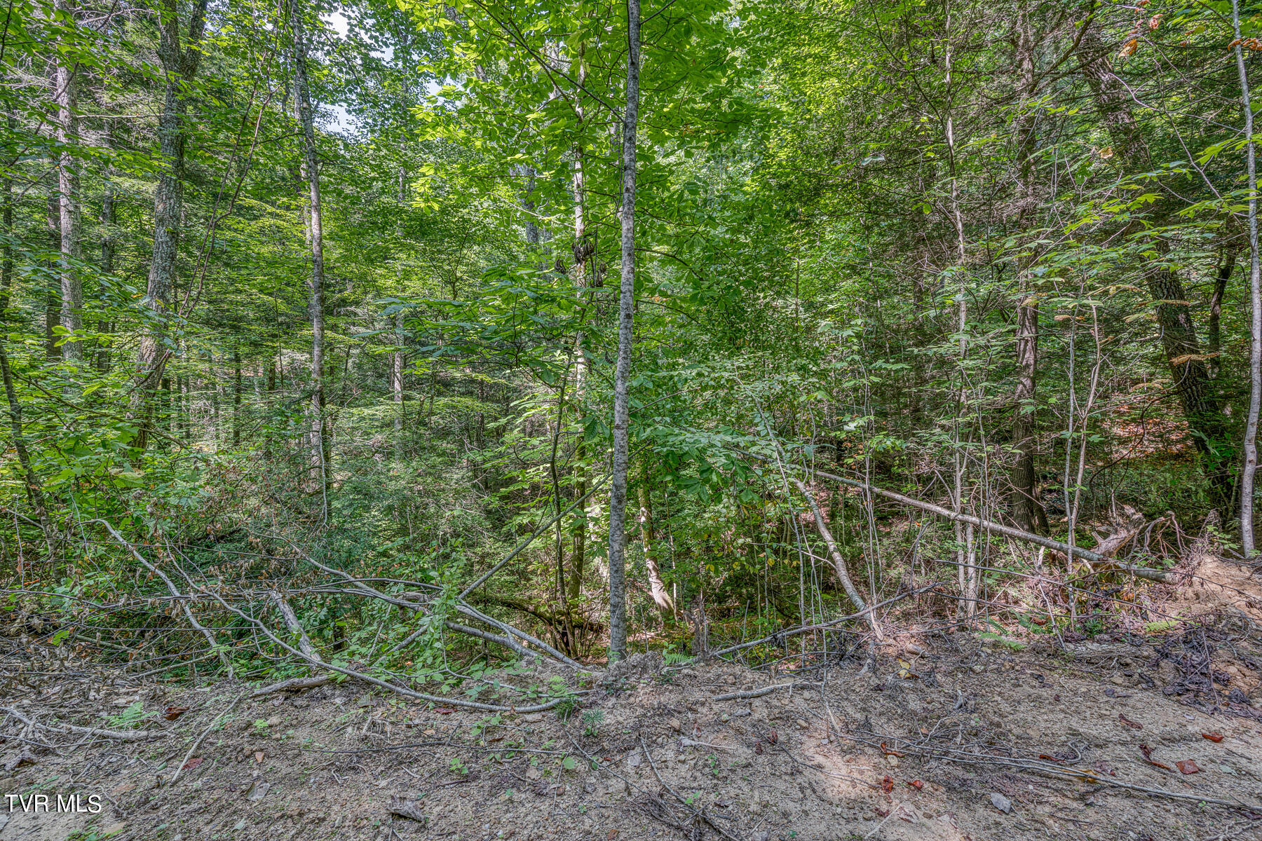 Waters Rd Road, Laurel Bloomery, Tennessee image 26