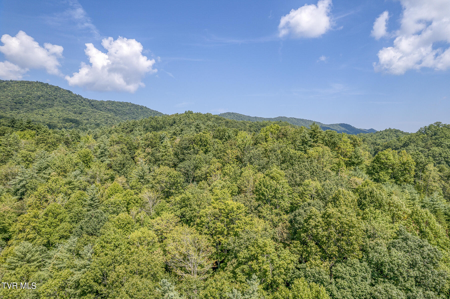Waters Rd Road, Laurel Bloomery, Tennessee image 5