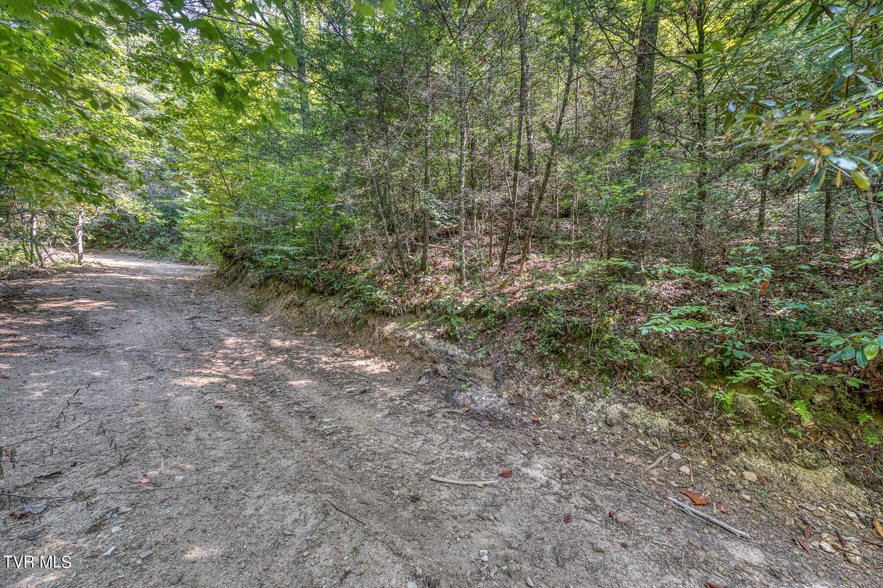 Waters Rd Road, Laurel Bloomery, Tennessee image 24