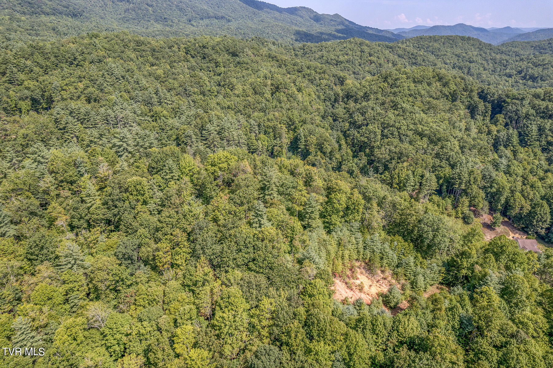 Waters Rd Road, Laurel Bloomery, Tennessee image 15